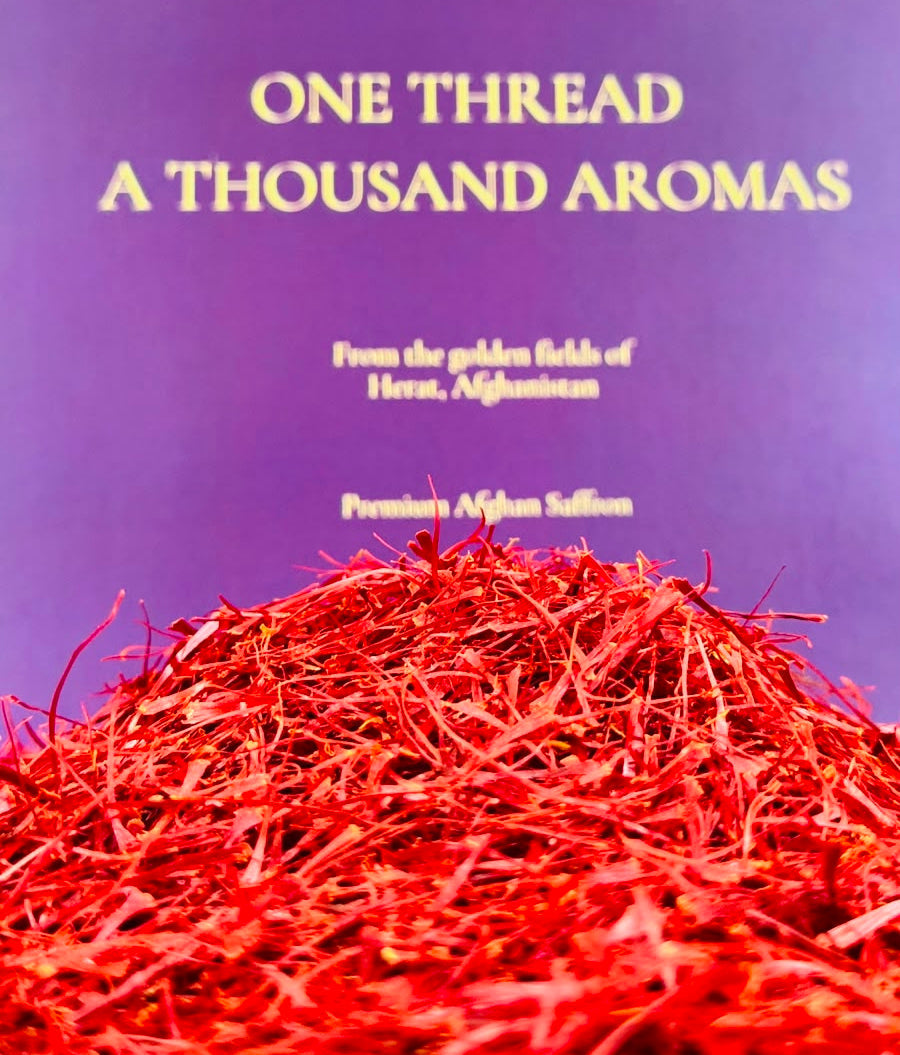 Fresh purple saffron crocuses gathered during harvest