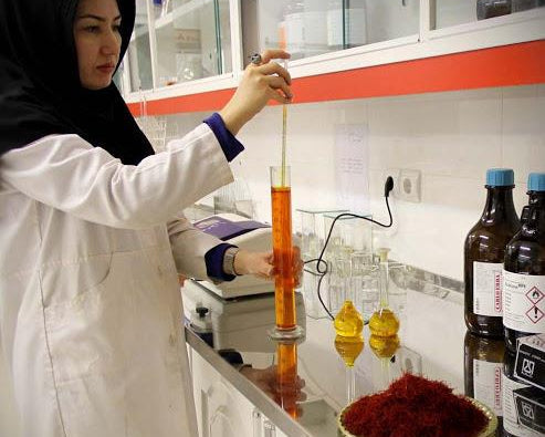 Saffron threads featured in a guide to real and fake saffron