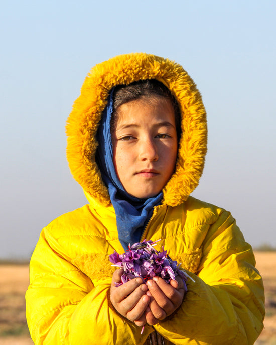 saffron heritage, production of the best saffron world, Afghan saffron, is a tradition transfered from one generation to another.